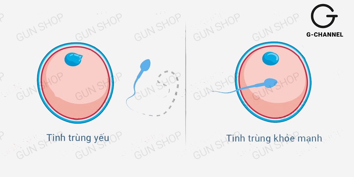 Cách nhận biết chất lượng tinh trùng yếu