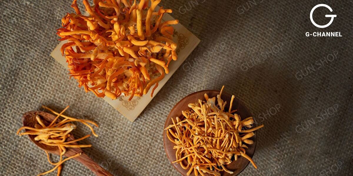 Những công dụng kỳ diệu của đông trùng hạ thảo bạn nên biết