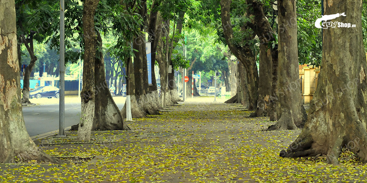 Địa điểm vui chơi, hẹn hò 8/3 ở Hà Nội lý tưởng và lãng mạn nhất!