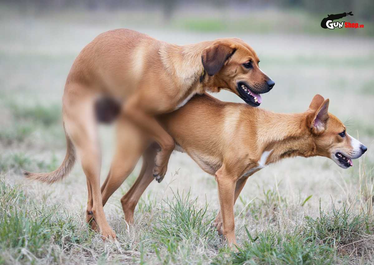 Quan hệ xong đau bụng dưới có thai không?