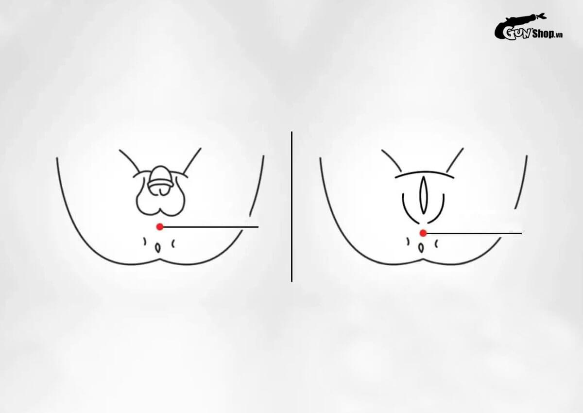 Có thể huyệt ở vùng kín không?