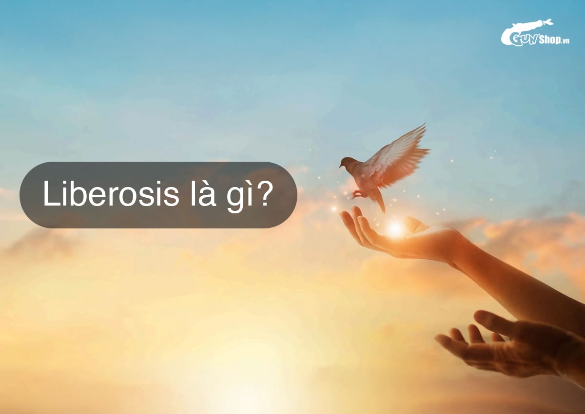 Liberosis là gì?