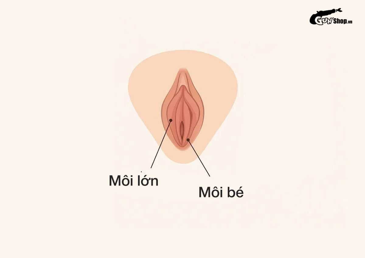 Môi lớn bị chảy xệ