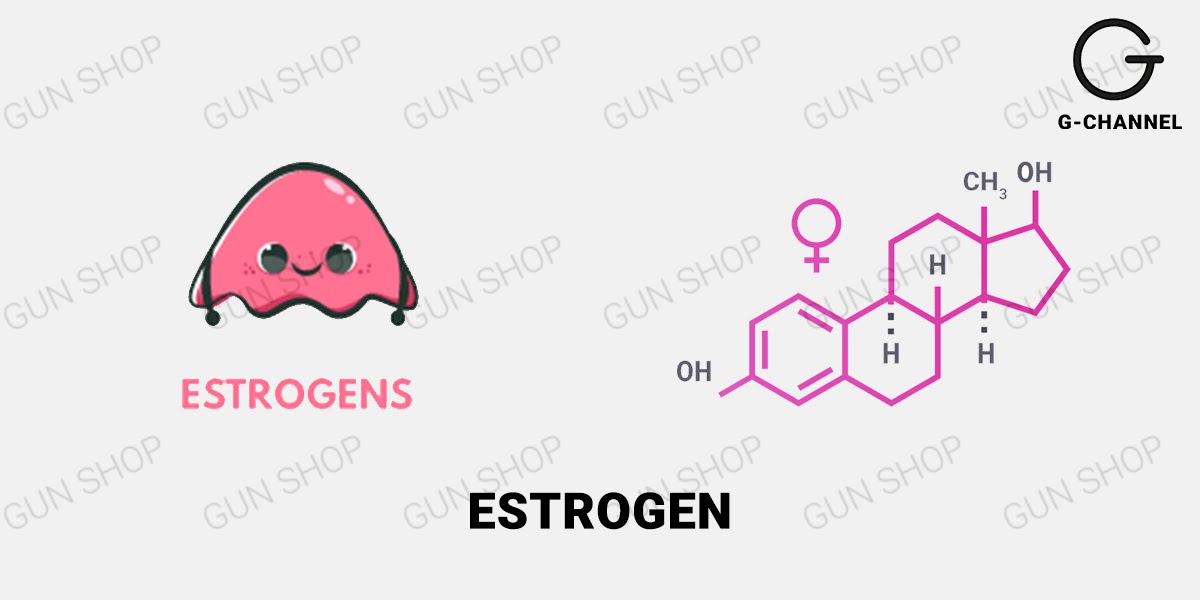 Sự khác nhau giữa estrogen và progesterone
