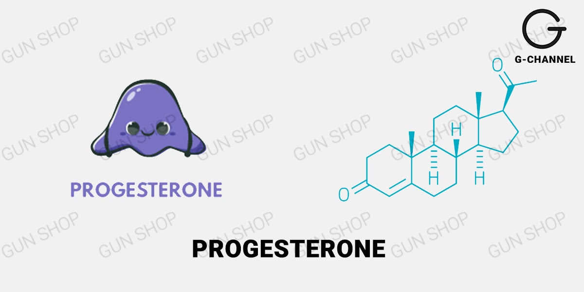 Sự khác nhau giữa estrogen và progesterone