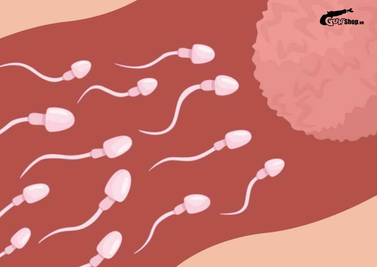 Quan hệ vài giây có thai không?