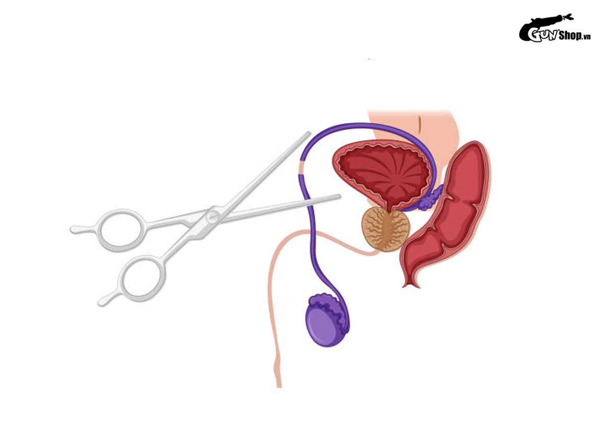 Quan hệ vài giây có thai không?