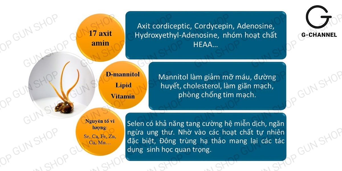 Tác dụng của đông trùng hạ thảo với phụ nữ