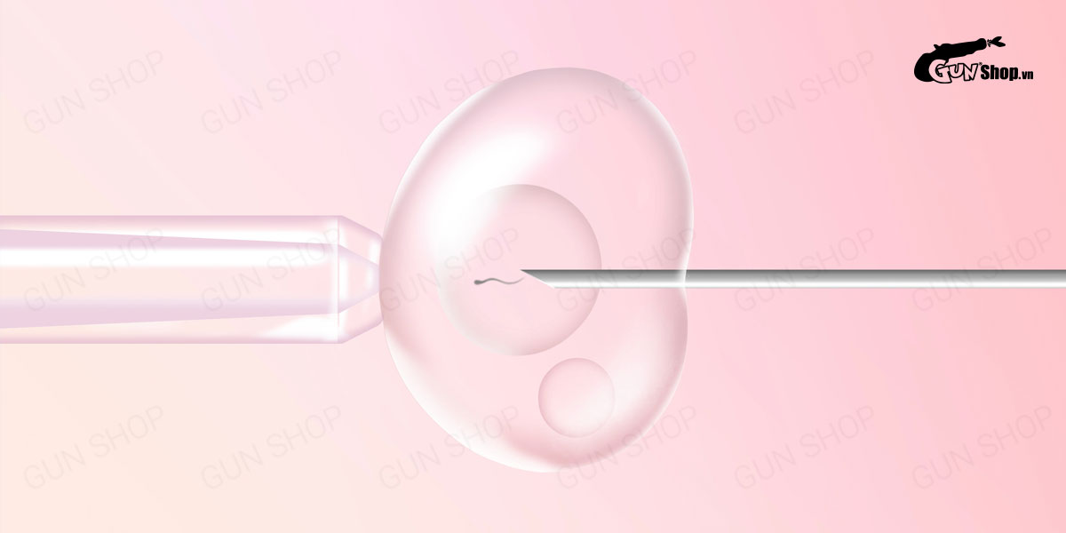 Thụ tinh ống nghiệm IVF là gì? - Những lưu ý cần biết