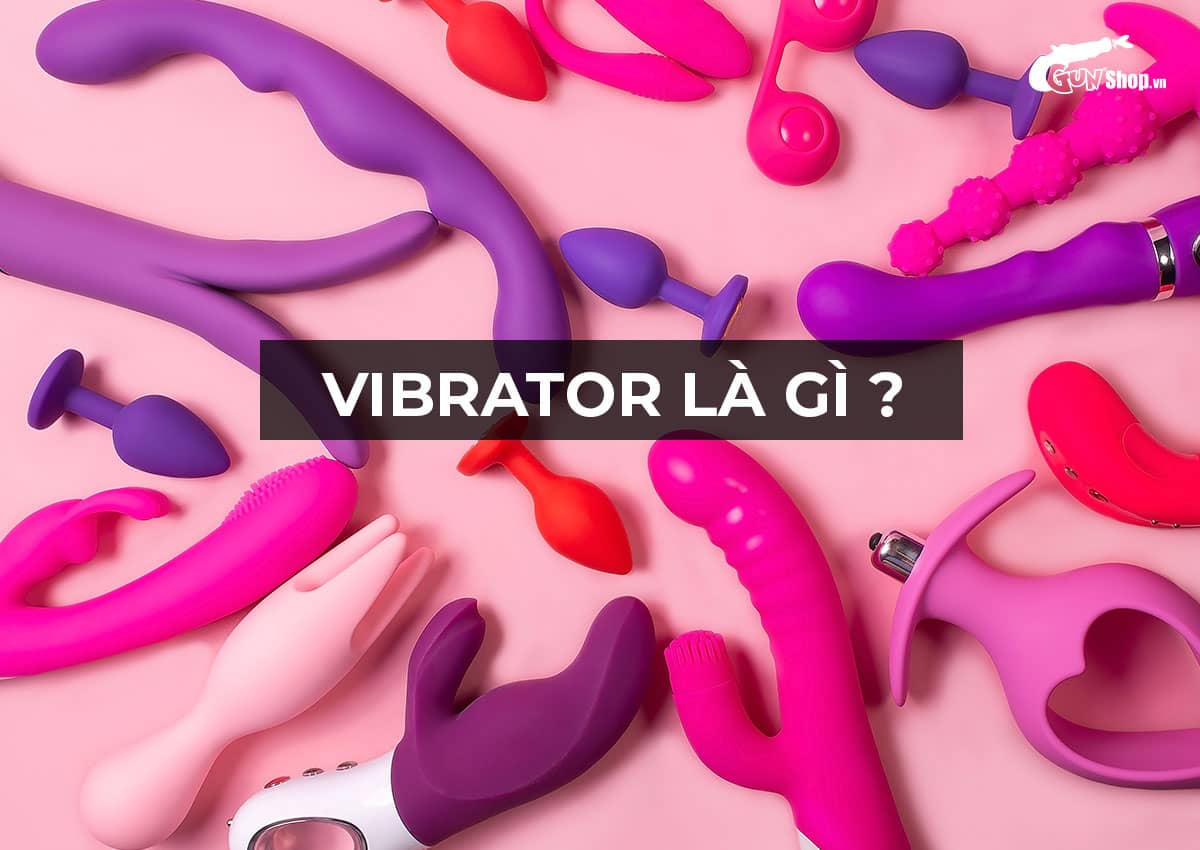 Vibrator là gì