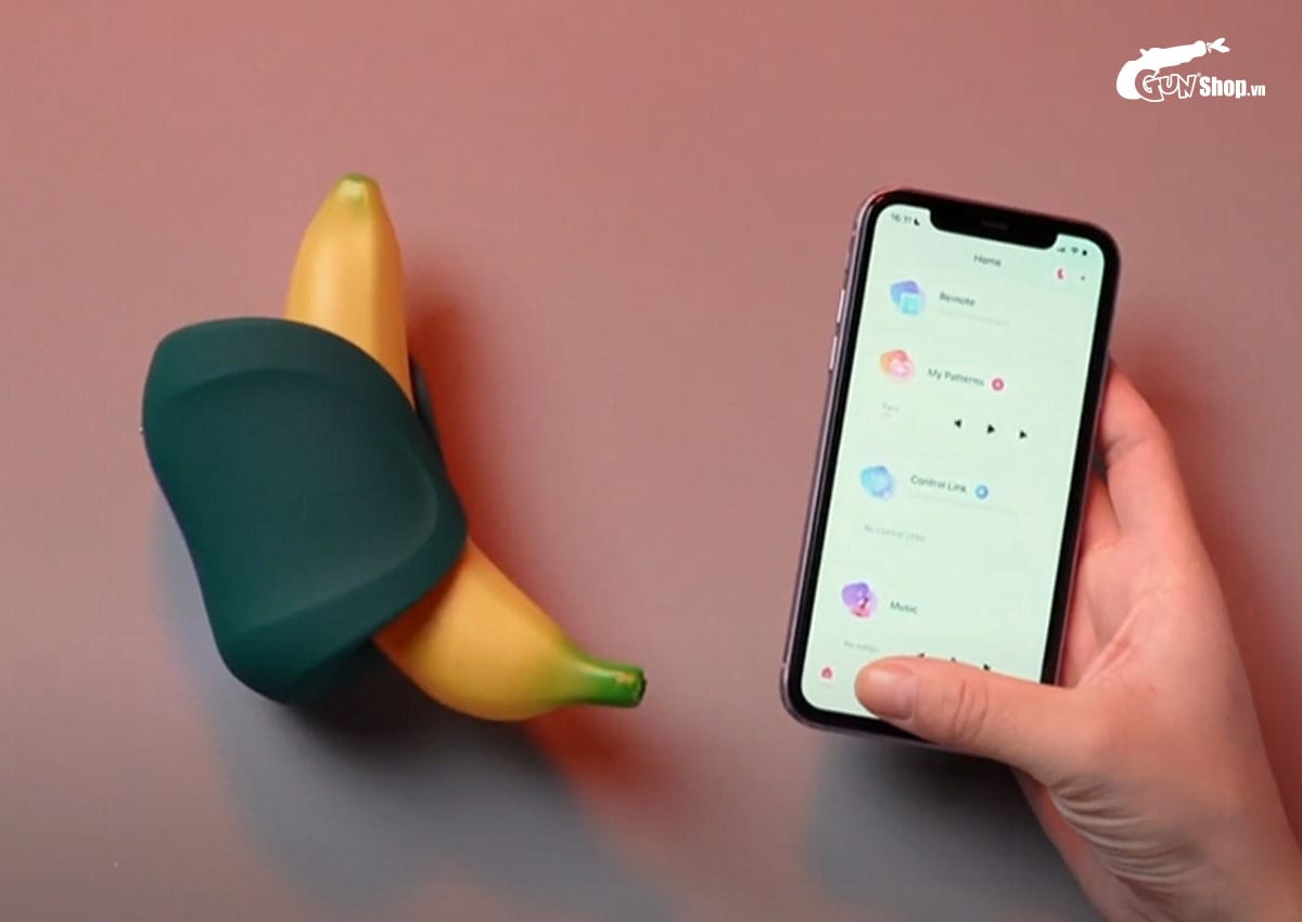 Vibrator là gì