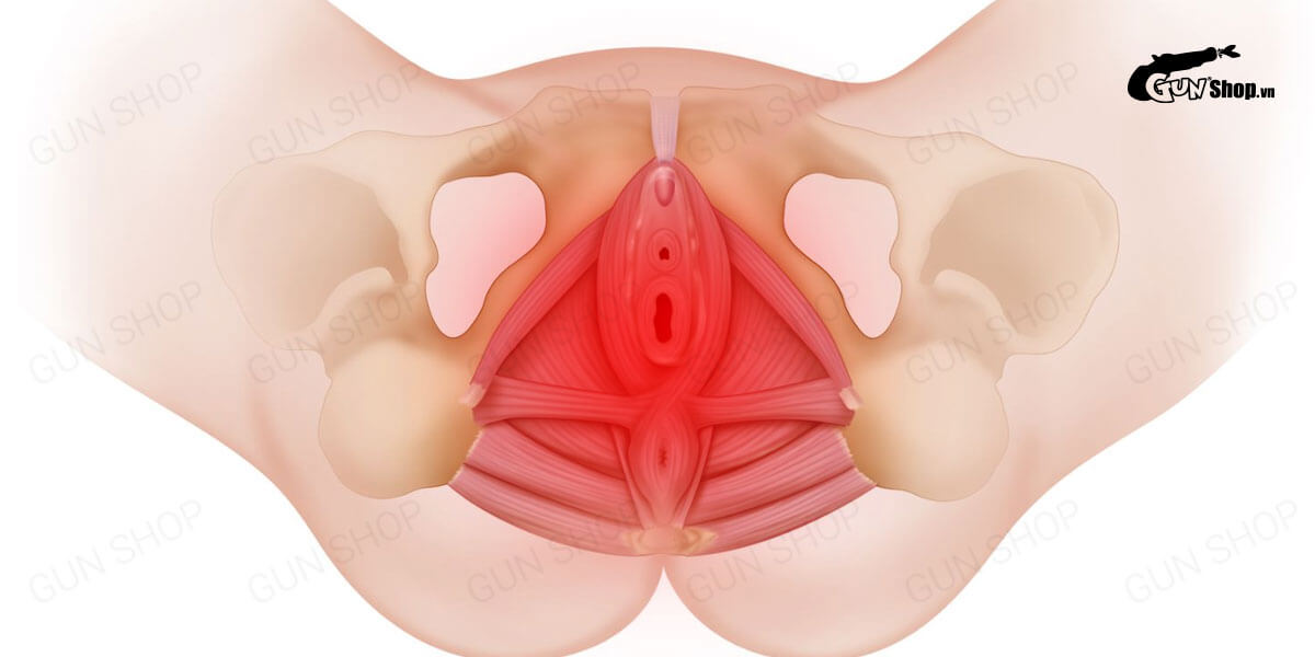 Viêm nội mạc tử cung sau sinh có dấu hiệu gì? Cách chữa trị như thế nào?