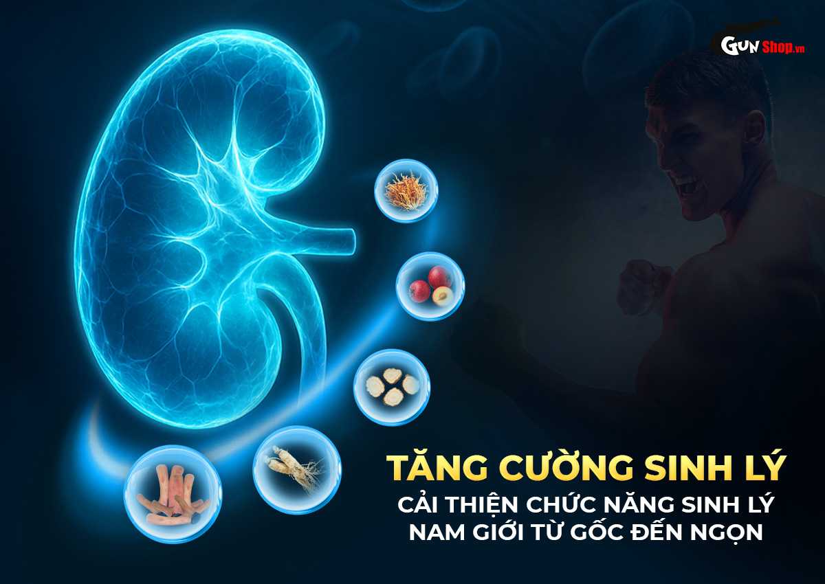 viên uống cường dương Ngựa Thái chính hãng tại Gunshop