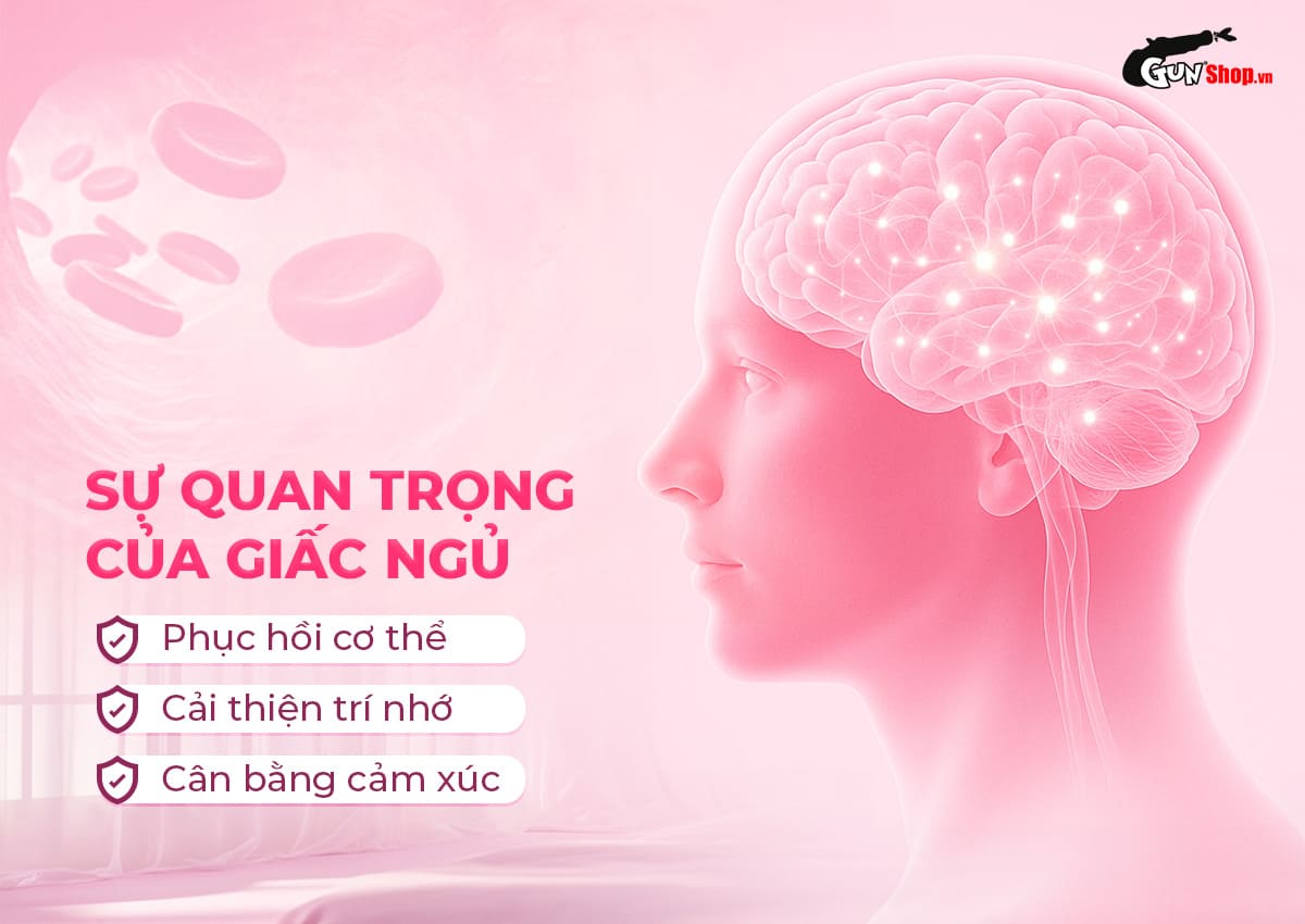 Viên uống cải thiện tình trạng giấc ngủ và ngủ kém Powergra Gentle Dreams chính hãng tại Gunshop