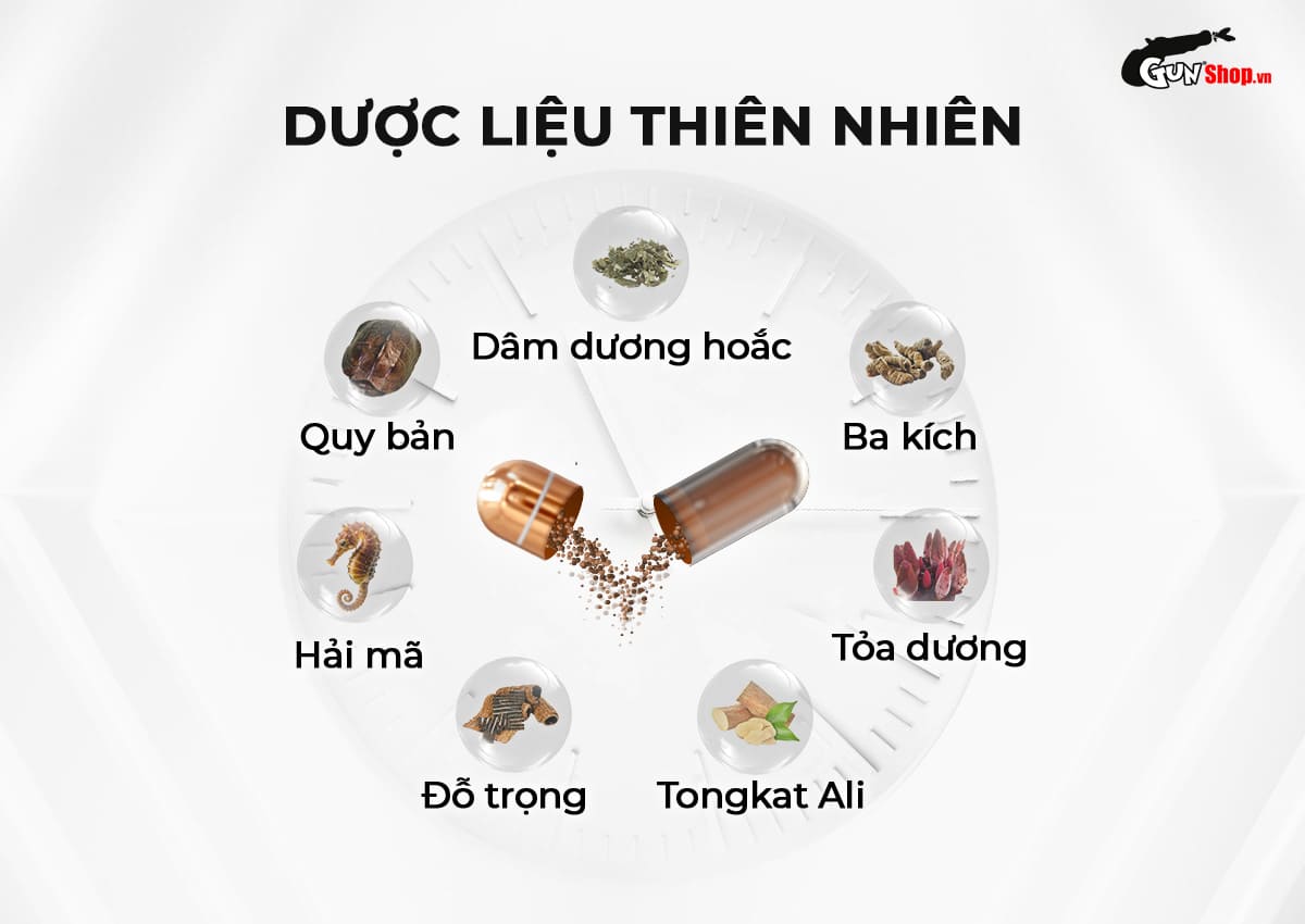 Thành phần nổi bật trong Powergra For Men - Vỉ 1 viên