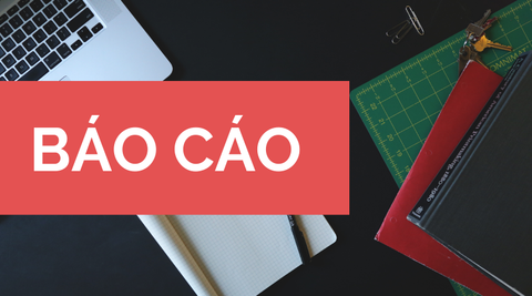 BÁO CÁO TÌNH HÌNH QUẢN TRỊ CÔNG TY NĂM 2024
