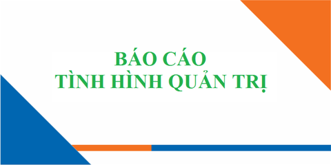 Báo cáo tình hình quản trị 6 tháng đầu năm 2025