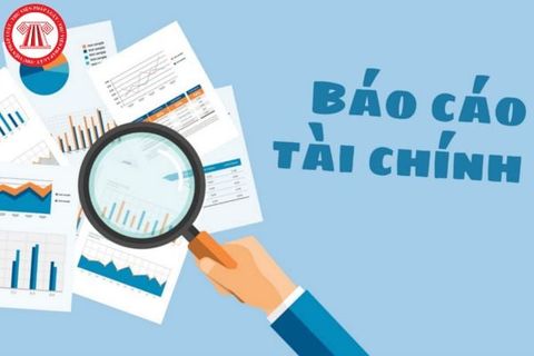 BÁO CÁO TÀI CHÍNH BÁN NIÊN NĂM 2025