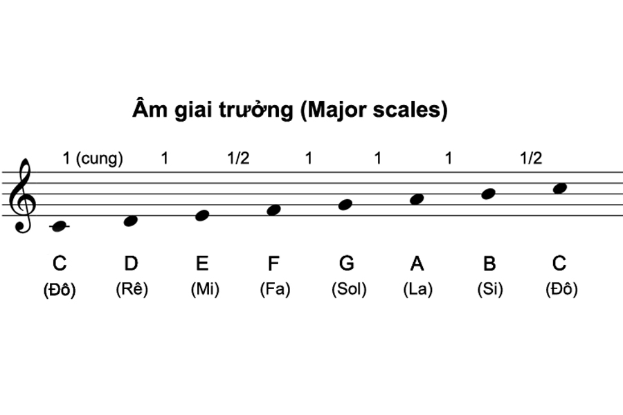 Gam (âm giai) là gì? Cấu tạo gam trưởng, thứ