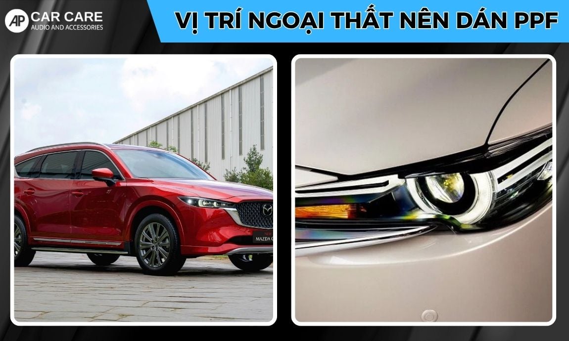 vị trí ngoại thất mazda cx8 nên dán ppf