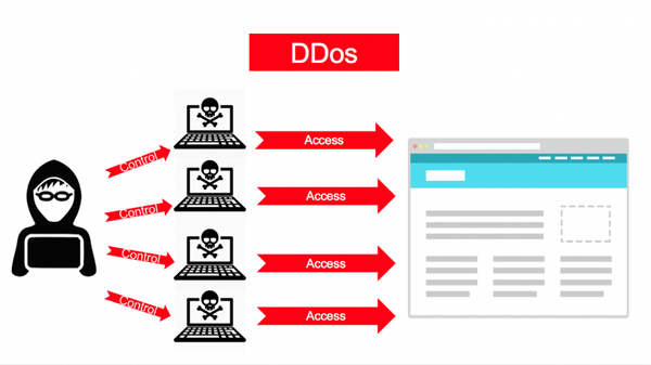 ddos la gi