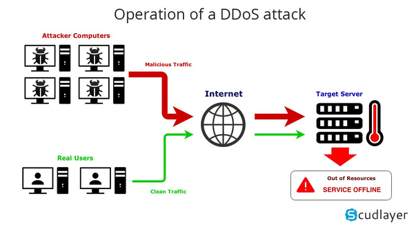 ddos la gi