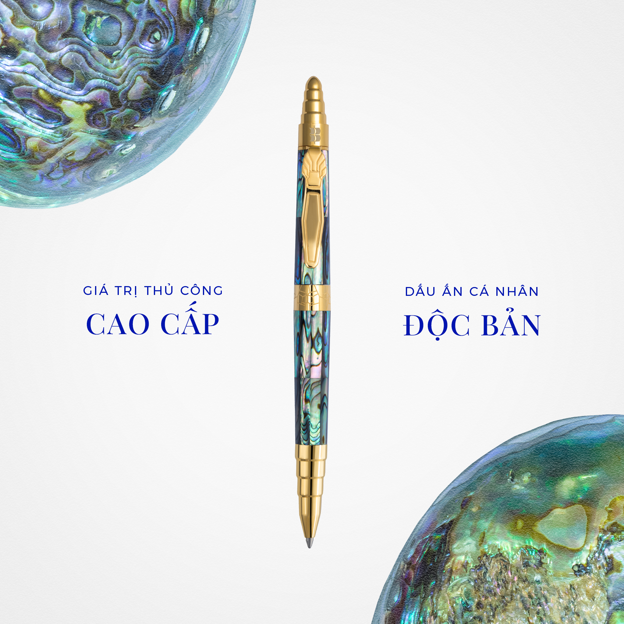 Bật Mí Đến Bạn Những Thông Tin Thú Vị Liên Quan Đến “Bào Ngư New Zealand”