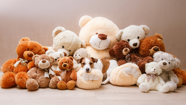 Gấu bông – món quà 20/10 dễ thương cho người yêu, bạn gái
