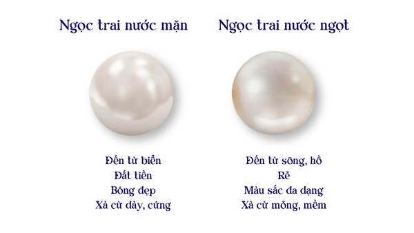 So sánh giữa ngọc trai nước ngọt (nhiều màu) và nước mặn (bóng hơn).