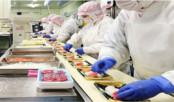 Rất nhiều lao động cũng yêu thích ngành chế biến thực phẩm khi được hỏi nữ có nên đi xuất khẩu Nhật Bản hay không