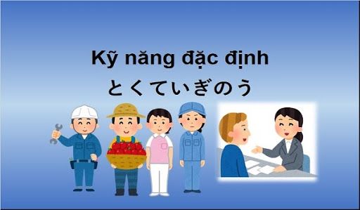 Kỹ năng đặc định số 1 xét duyệt đến 14 ngành nghề