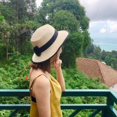 Ý kiến của chị Phan Ngọc Hồng -Quận 7