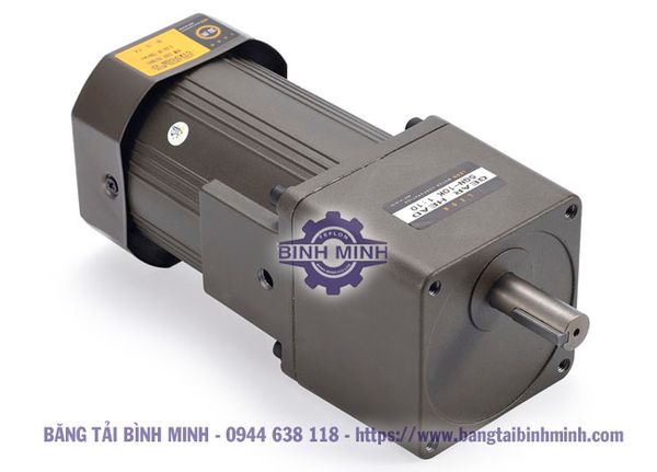 mô tơ giảm tốc 220v