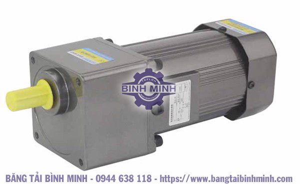 motor giảm tốc đảo chiều