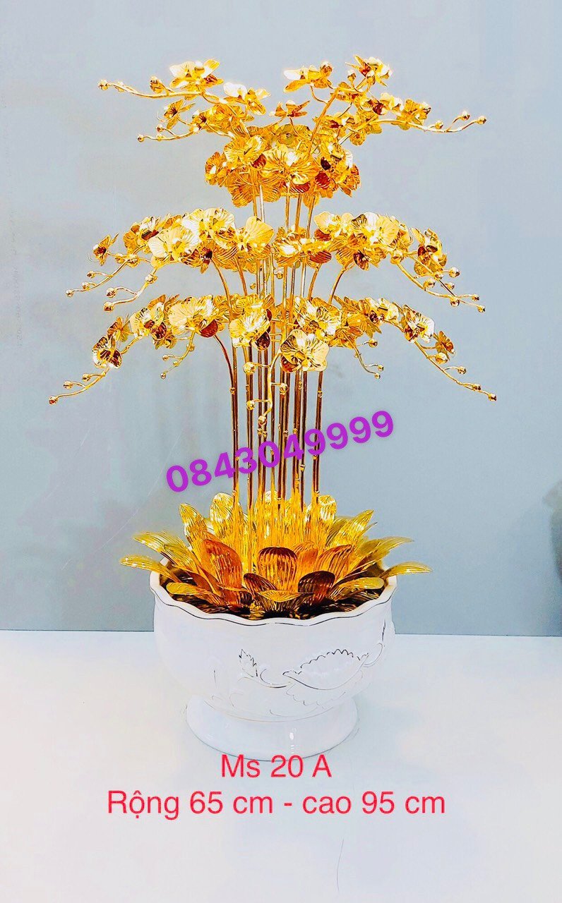 HOA LAN MẠ VÀNG