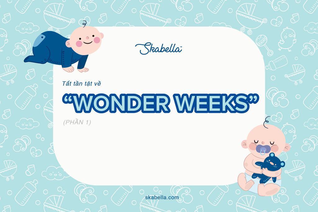 TẤT TẦN TẬT VỀ “WONDER WEEK” (𝐏𝐚𝐫𝐭 𝟏)