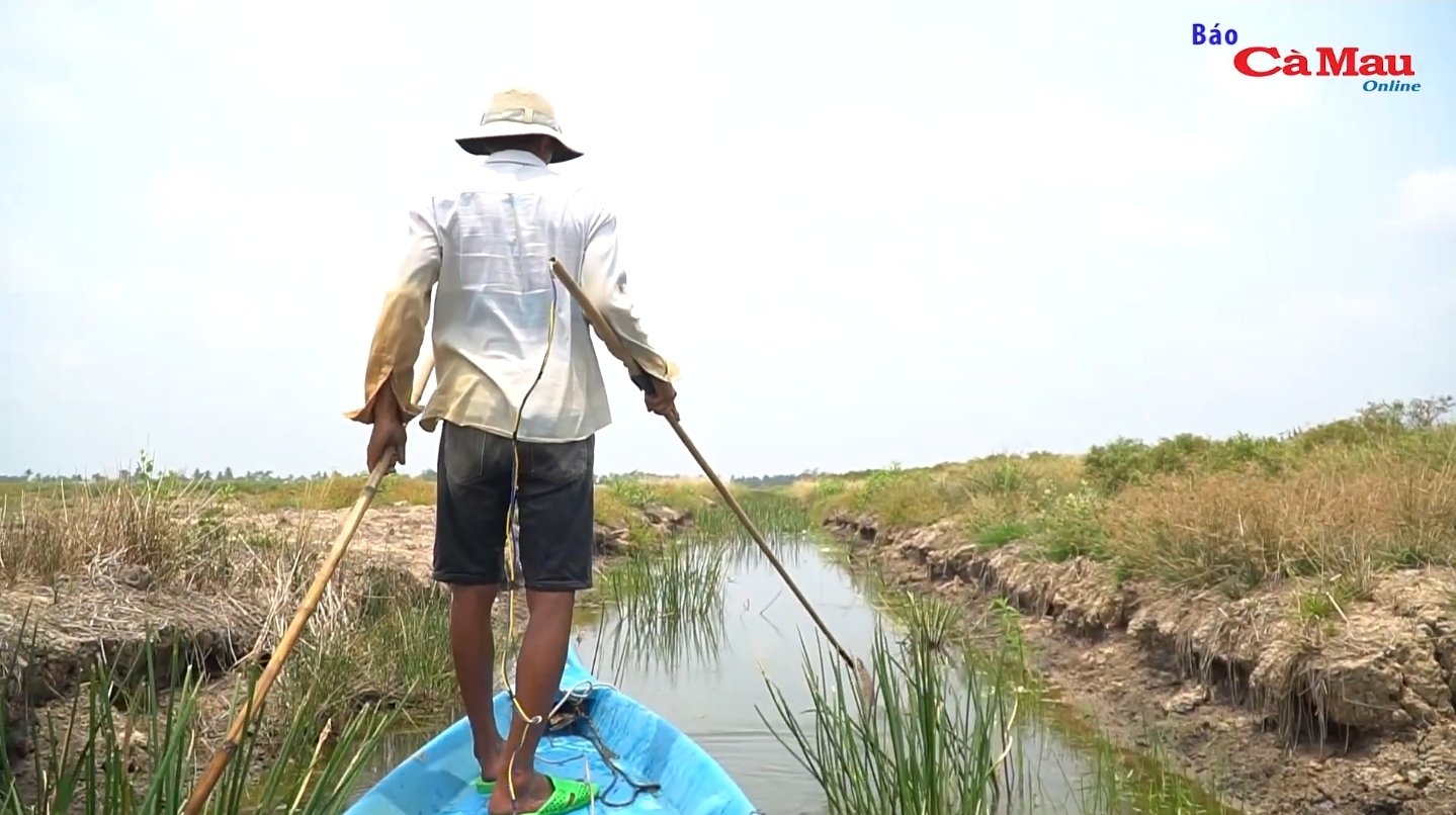 Dùng xung điện đánh bắt thuỷ sản – Hiểm hoạ khôn lường