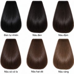 Bảng màu tóc cơ bản 123WIGS