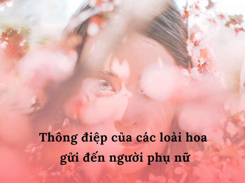 THÔNG ĐIỆP CỦA CÁC LOÀI HOA GỬI ĐẾN NGƯỜI PHỤ NỮ
