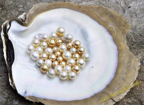 Làm sao để chọn trang sức ngọc trai như ý?