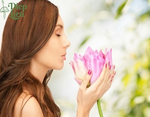 9 lợi ích của việc làm đẹp từ hoa sen