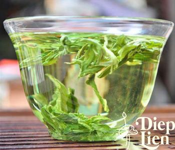 Những hiệu quả và tác dụng của trà lá sen là gì? Uống trà lá sen có lợi ích gì?
