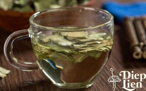 Hiệu quả giảm béo của trà lá sen thế nào?
