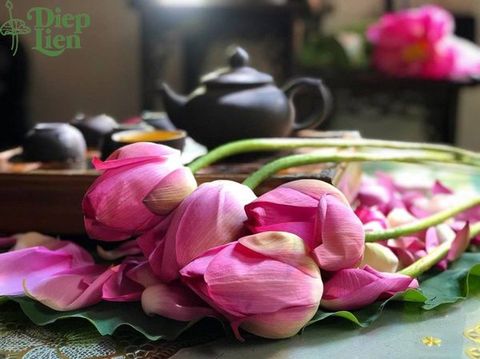 Uống trà -  nét văn hóa lâu đời tại Việt Nam
