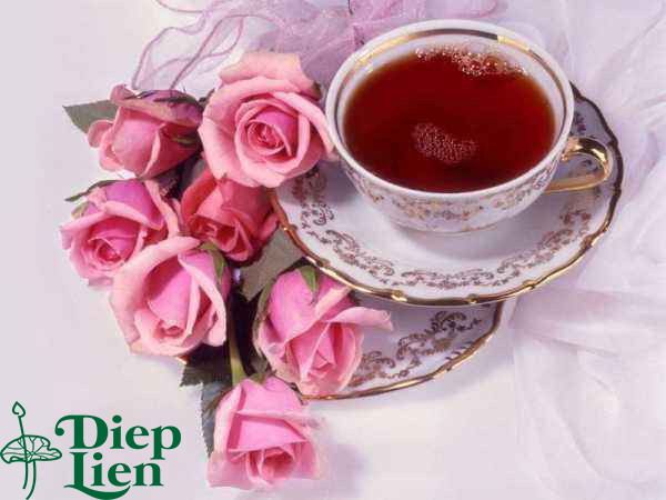 Hiệu quả của trà lá sen hoa hồng