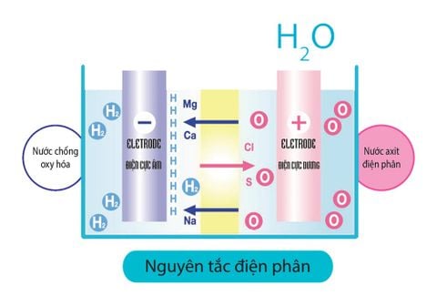 KangenSUI RW-7EX Máy Tạo Nước Ion Kiềm