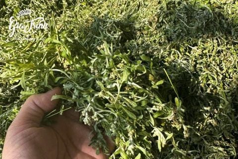 Tầm Quan Trọng Của Nguyên Liệu Tự Nhiên Khi Làm Bánh: Bí Quyết Cho Món Ngon An Toàn, Tốt Cho Sức Khỏe