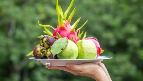 Lễ Phật đản