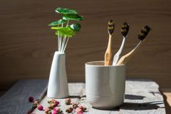 Bizs+ launchs a new high-end toothbrush - ZenShine