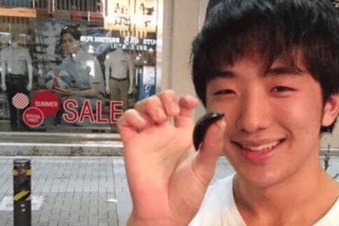 Cô đơn quá lâu, thanh niên Nhật Bản yêu gián suốt 1 năm rồi 